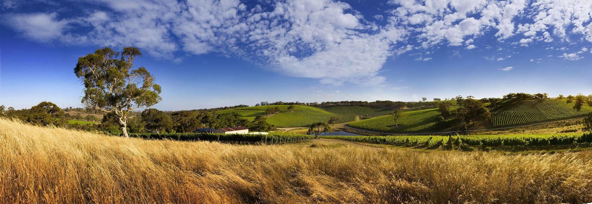 Longview Vineyard Bed & Breakfast Macclesfield Eksteriør bilde